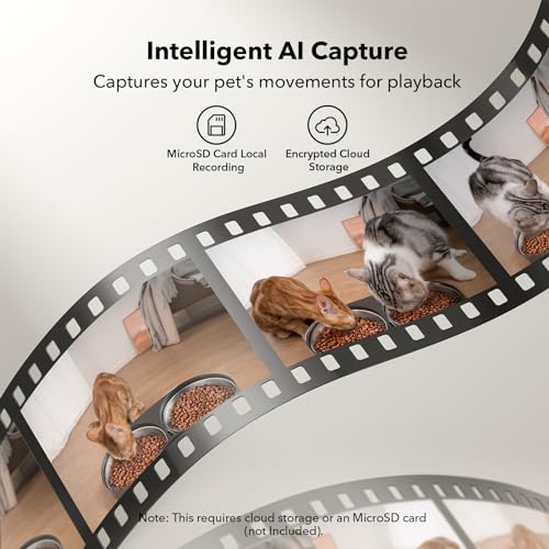 Automatic Cat Feeder with Camera for Two Cats