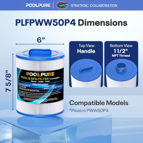 PWW50P4 Spa Filter