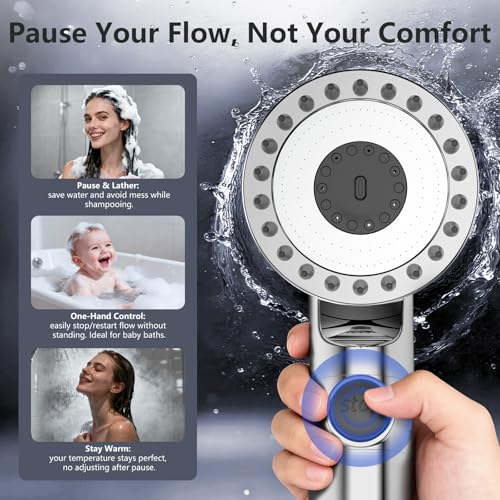 Filtered Shower Head with Handheld