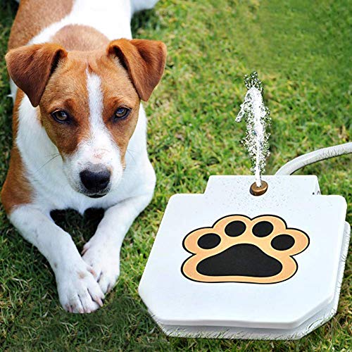 Dog Water Fountain Step On Toy