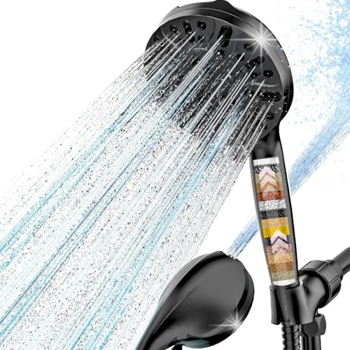 Filtered Shower Head with Handheld
