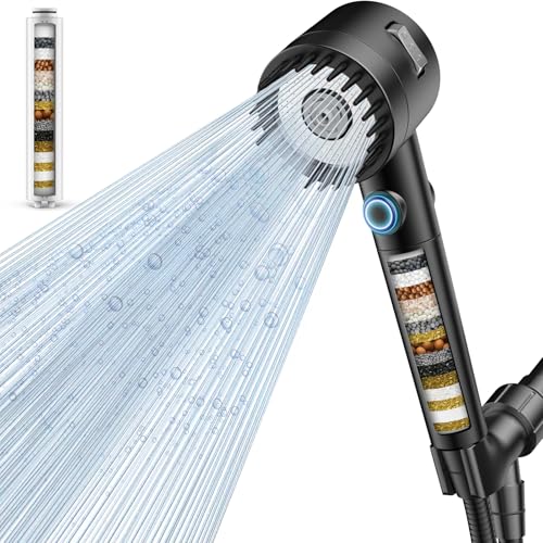 Filtered Shower Head with Handheld