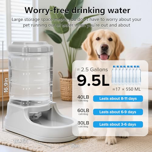 2.5 Gallon Large Dog Water Dispenser