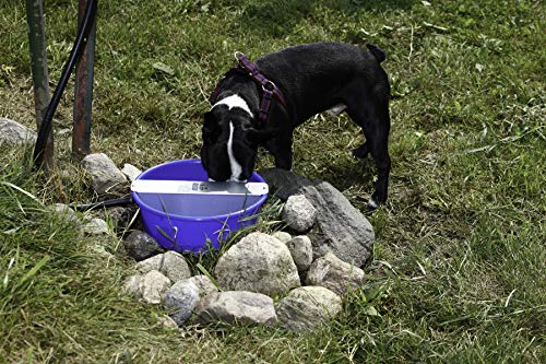 Automatic Pet Waterer