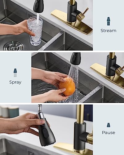 Kitchen Faucets Pull Down Sprayer