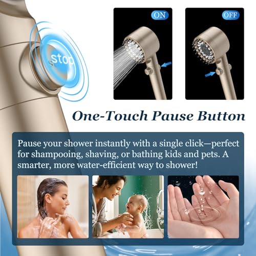 Filtered Shower Head with Handheld