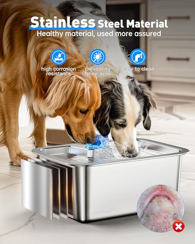 Large Dog Water Fountain Dispenser