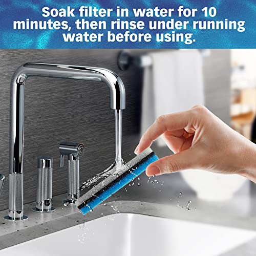 Filters for NPET WF020 Fountain (12 Count)