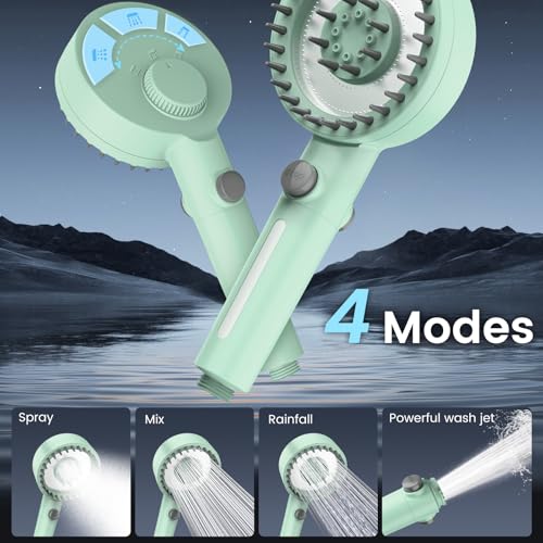 Filtered Shower Head with Handheld