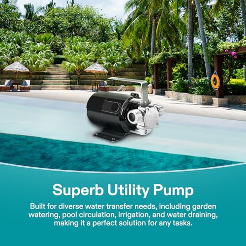 1 10HP Water Transfer Pump