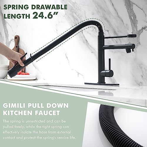 Dual Spout Black Kitchen Sink Faucet with Pull Down Sprayer