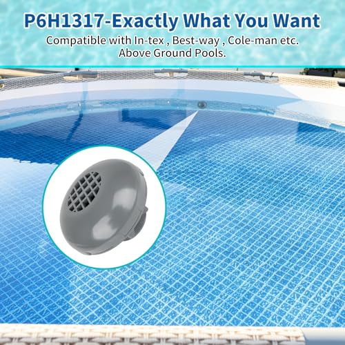 Pool Inlet Strainer P6H1317 Threaded Valve Attachment