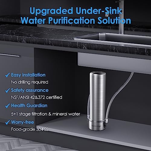 AS13 Under Sink Water Filter System