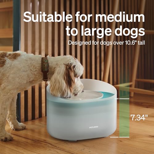 2.1Gal 8L Dog Water Fountain for Large Dog