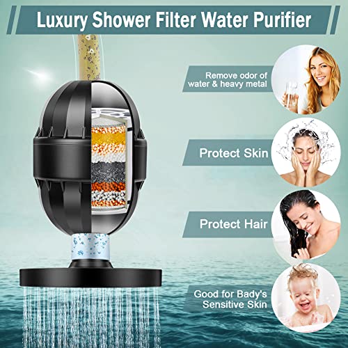Filtered Shower Head with Handheld