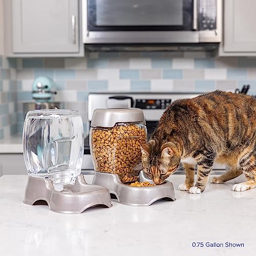 Pet Cafe Water Dispenser