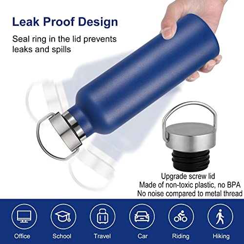 20 oz Insulated Water Bottles (8 Count)