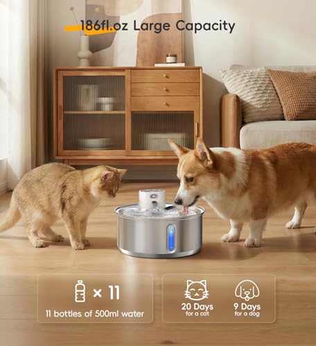 Stainless Steel Cat Water Fountain