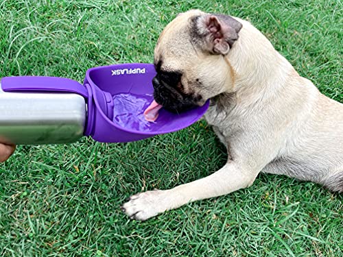 PupFlask Large Dog Water Bottle