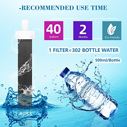Compatible with Brita BB06 (10 Count)
