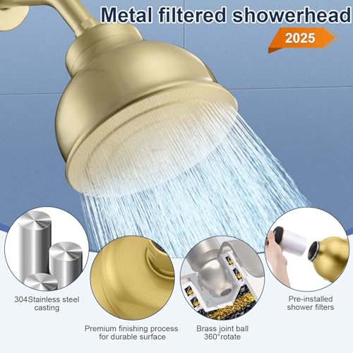 Filtered Shower Head