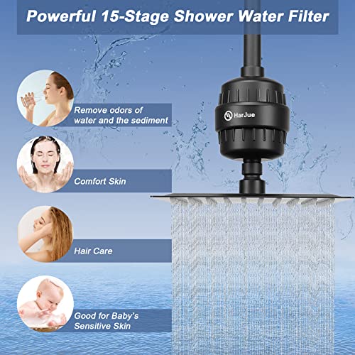 Filter Shower Head