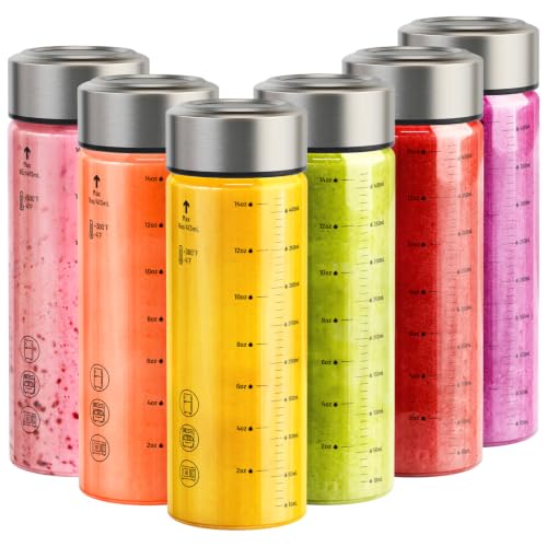 Wide Mouth Borosilicate Glass Juice Bottles 16oz 6 Pack with Lids