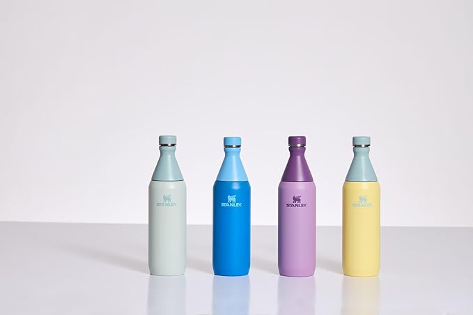 Stanley All Day Slim Bottle 20 oz | Twist On Lid with Leakproof Seal | Slim Design for Travel & Gym | Insulated Stainless Steel | BPA-Free | Pomelo