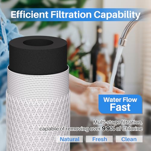 1 Micron 20" x 2.5" Whole House CTO Carbon Sediment Water Filter Cartridge (2 Count)