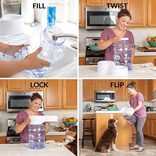 H2O Gravity Pet Water Dispenser
