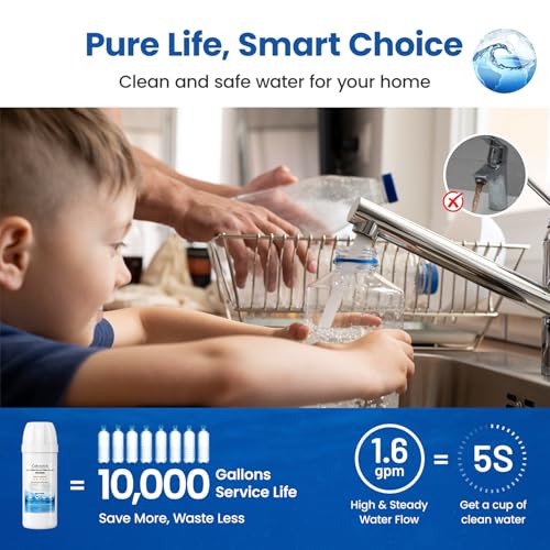 Under Sink Water Filter System