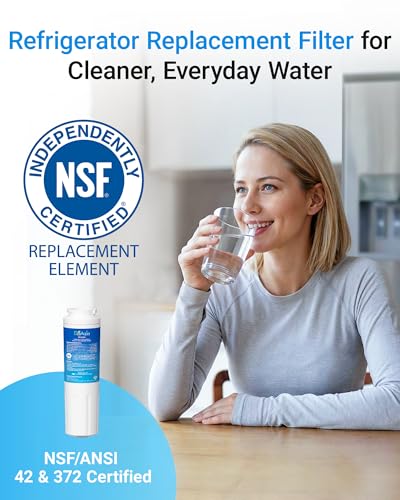 EDR4RXD1 Replacement Filter
