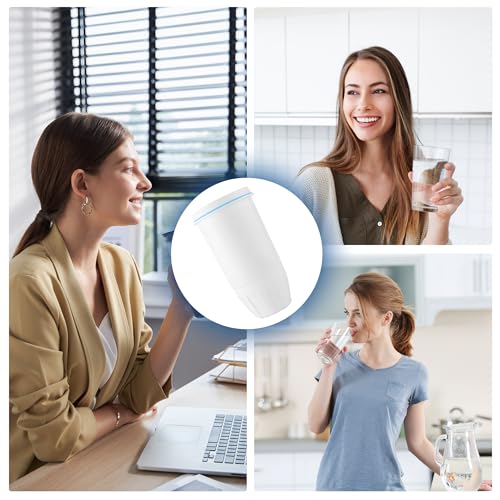 Water Filters Fit for Zero Water Pitchers and Dispenser (2 Count)