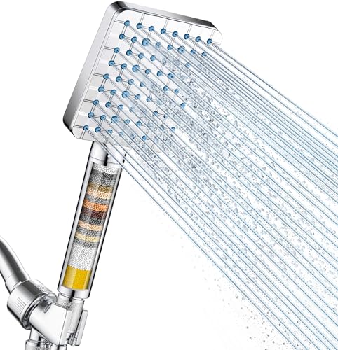 Filtered Shower Head with Handheld