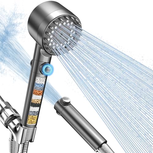 Filtered Shower Head with Handheld