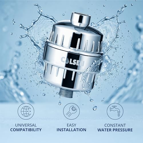 Shower head Filter