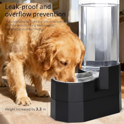 9L Elevated Dog Water Dispenser