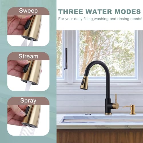 Black and Gold Kitchen Faucet with Soap Dispenser
