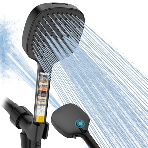 Filtered Shower Head with Handheld