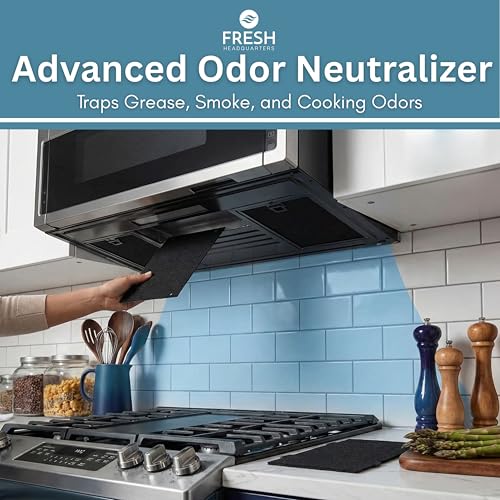 Activated Carbon Microwave Charcoal Filters (2 Count)