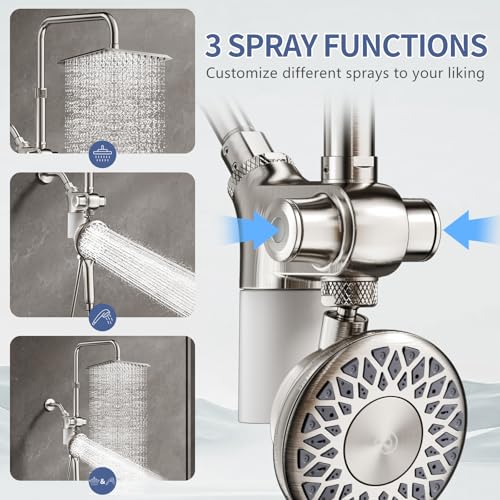 Filtered Rain Shower Head with Handheld Spray Combo