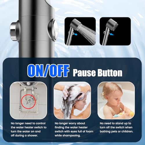 Filtered Shower Head with Handheld