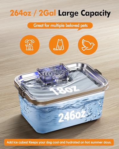 Dog Water Fountain 2 Gal