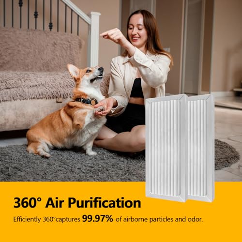 2 Pack 990051000 True HEPA Air Purifier Replacement Filter Compatible with Hamilton Beach TrueAir 04383 04384 04385 04386 Air Purifiers Pet Filter Replacement (2 Count)