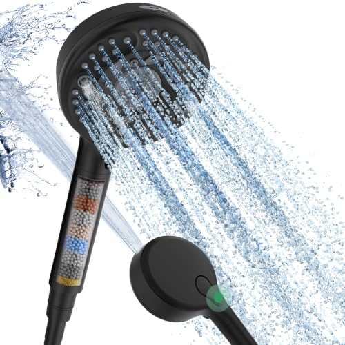Filtered Shower Head with Handheld