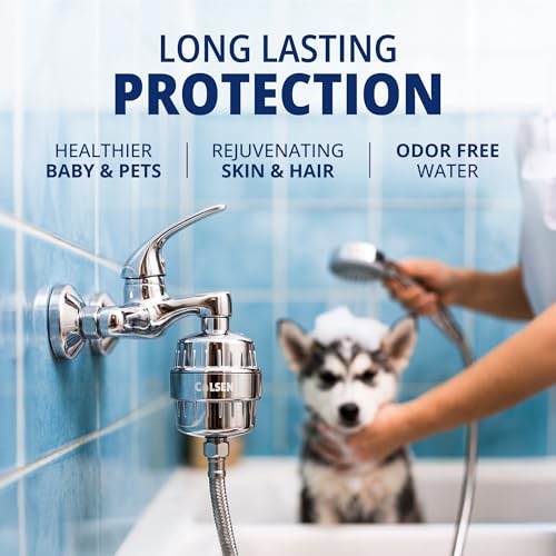 Shower head Filter