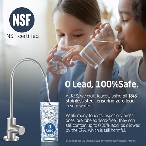 NSF Certified All Metal Drinking RO Water Faucet