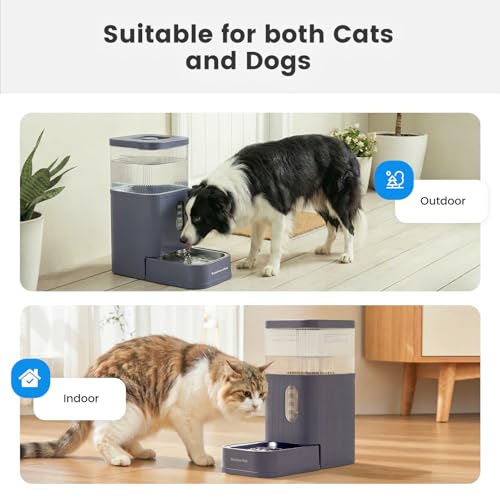2.9 Gallon Automatic Dog Water Dispenser with Stainless Steel Bowl