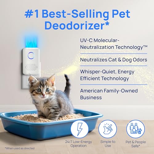 ODRx - UV-C Cat Odor Deodorizer & Eliminator, Removes Cat Pee Smell, Filterless, Quiet, Compact Air Freshener for Bedrooms, Living Rooms, Litter Box Areas, Eliminates Ammonia Odors