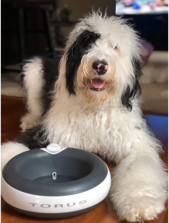 Premium Filtered Portable Dog Autofill Pet Water Dispenser [Upgraded 2026], 2L / 68oz, Noise-Free No Spill Water Bowl for Dogs, No Power Needed, Ideal for Medium & Large Pets